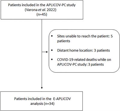 Plitidepsin in adult patients with COVID-19 requiring hospital admission: A long-term follow-up analysis